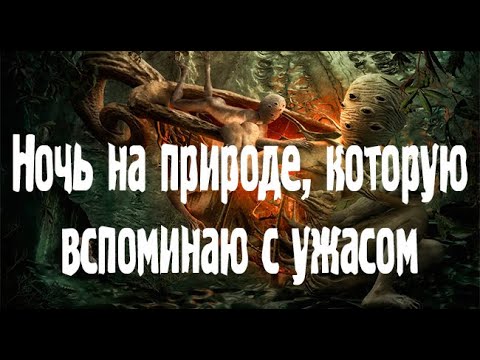 Видео: Встреча в природе с непонятно чем. Страшные. Мистические. Творческие  рассказы.