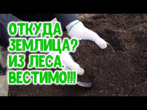 Видео: Откуда землица? Из леса, вестимо!..