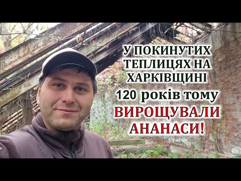 Видео: У покинутих теплицях на Харківщині 120 років тому вирощували ананаси!