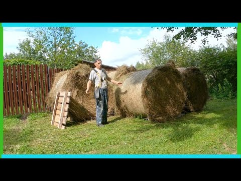 Видео: "Рулонный сенокос" будет непростым и деревенские будни!