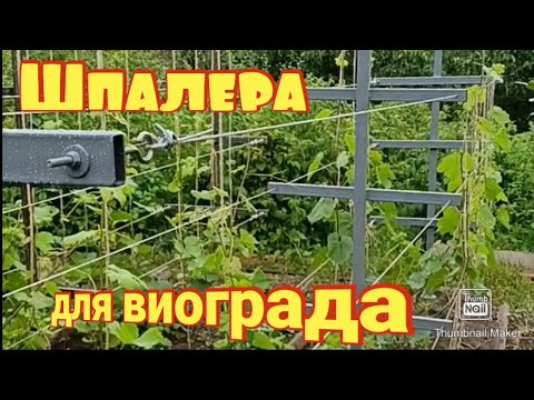 Видео: Шпалера для винограда из профильной трубы