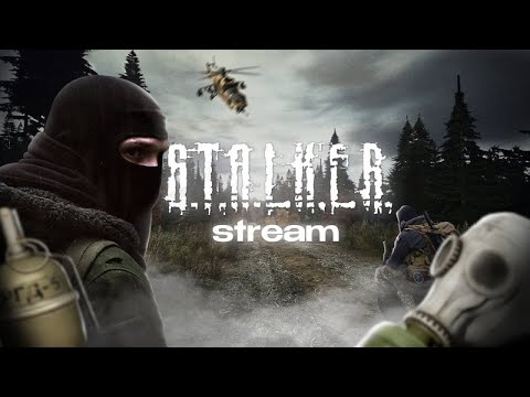 Видео: DayZ ПРОДОЛЖАЕМ ВЫЖИВАТЬ В СУРОВЫХ УСЛОВИЯХ ЗОНЫ  [RU] Grotesk Stalker PVE DZ 2|