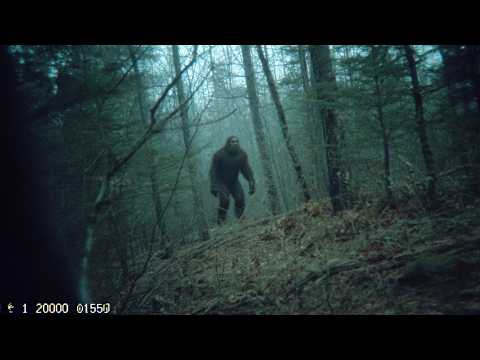 Видео: Кадры с кристально чистой тропы вызывают серьёзные вопросы