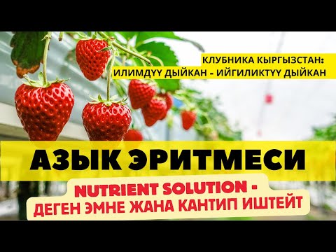 Видео: Nutrient solution (Азык эритмеси) деген эмне жана кантип иштейт?