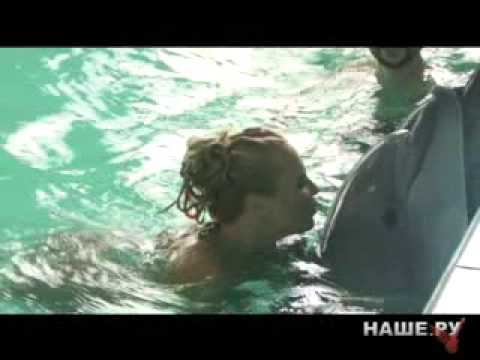 Видео: Пелагея и дельфины