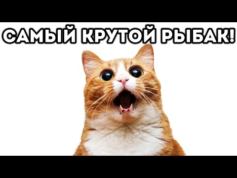 Видео: САМЫЙ КРУТОЙ РЫБАК! - Cat Goes Fishing