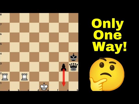 Видео: Есть ли у белых возможность выиграть?