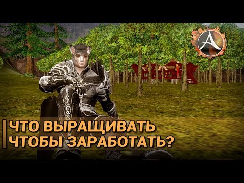 Видео: ArcheAge 5.7. Что выращивать чтобы заработать?