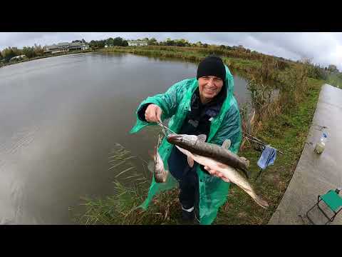 Видео: Осінь, щука, поплавець - це кайф для душі !  12.10.25 р.