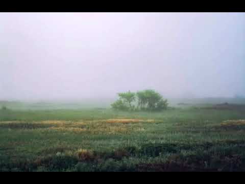 Видео: Родной мой край - село Целинное