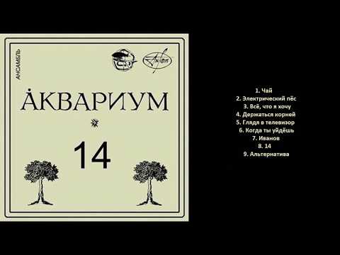 Видео: ÅКВАРИУМ - Четырнадцать (bootleg)