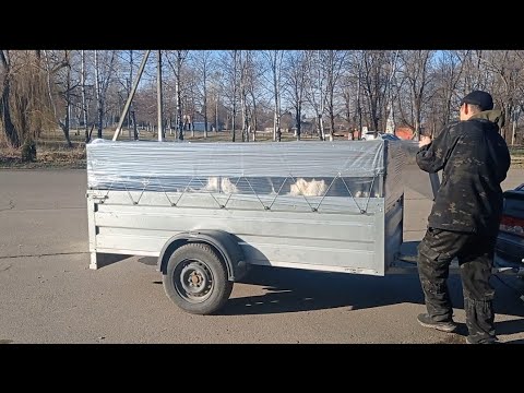 Видео: Покупка телят. Запасаемся кормами.