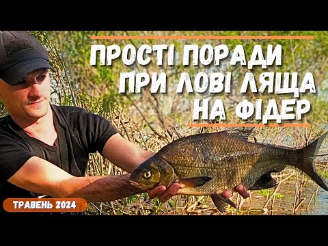 Видео: ПРОСТІ ПОРАДИ ПРИ ЛОВЛІ ЛЯЩА 🍀фідерна рибалка на Дніпрі✔️ Прикормка на ляща📌ЯК ловити ЛЯЩА?