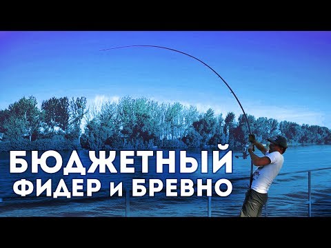 Видео: Бюджетный фидер и бревно! Краш-тест