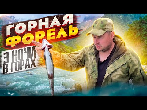 Видео: ГОРНАЯ ФОРЕЛЬ | ТРИ НОЧИ В ГОРАХ #рыбалка#жаренаярыба #рыбалкавгорах#жареннаяфорель#георгийкавказ