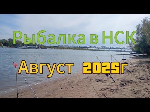 Видео: Рыбалка в Сибири на реке Обь. Август 2025г.