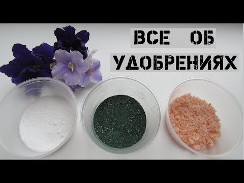 Видео: Чем подкормить фиалки/ Удобрения для роста и цветения!