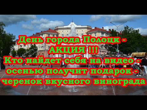 Видео: АКЦИЯ! День города Полоцк 2023.Кто найдет себя на видео - получит осенью черенок вкусного винограда