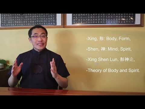 Видео: Мастер Ян Хай. Концепции внутренних стилей 37. Шэнь Сы - Сходство в духе.