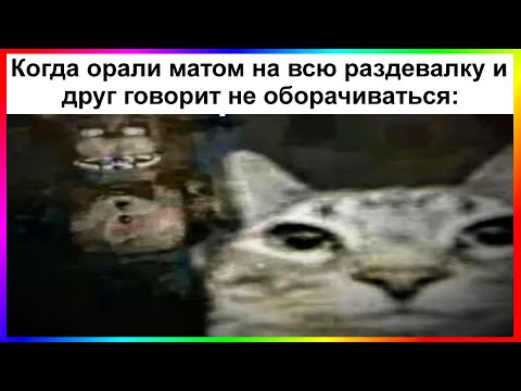 Видео: тик ток обернулся | подборка мемов
