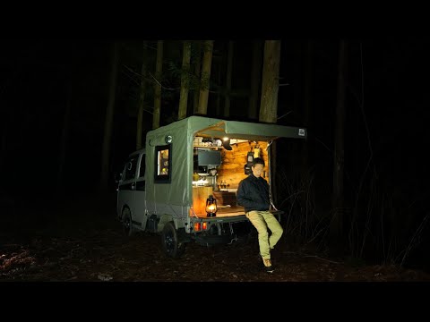Видео: Кемпинг в одиночестве в тихом лесу в кузове небольшого грузовика.
