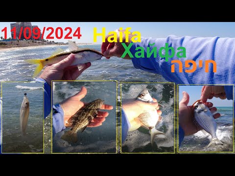 Видео: 4K 11/09/2024 Haifa Хайфа חיפה fishing דיג рыбалка Trip Afula-Haifa-Afula עפולה-חיפה-עפולה