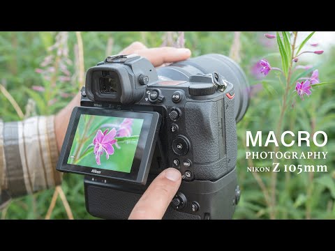 Видео: МАКРОСЪЁМКА с NIKON Z MC 105mm | Bts: лучший свет, штативная и ручная съёмка