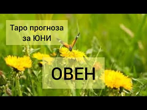 Видео: ОВЕН ♈ Таро прогноза за ЮНИ 2024 #tarot #рийдинг #хороскоп #tarotreader #овен