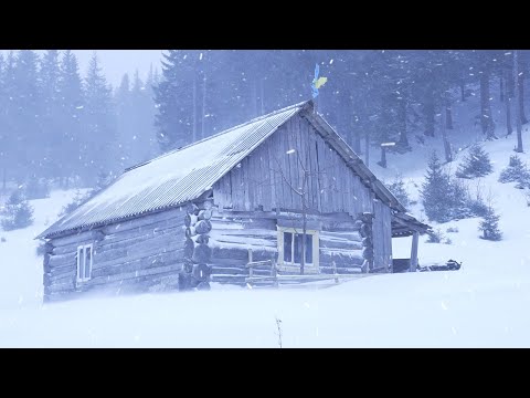 Видео: прятаться в заброшенном бревенчатом домике во время метели