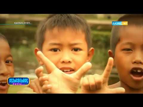 Видео: Қызық екен (24.08.2017)