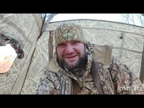 Видео: весенняя охота с подсадной. День второй. Псковская область.