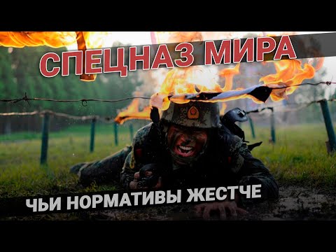 Видео: Нормативы спецназа: какой самый жесткий спецназ в мире