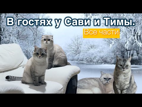 Видео: В гостях у Сави и Тимы. Все части!