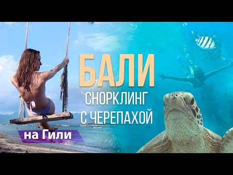 Видео: ПЛАВАЮ С ЧЕРЕПАХОЙ НА БАЛИ - ОСТРОВА ГИЛИ! Где и как попасть?!