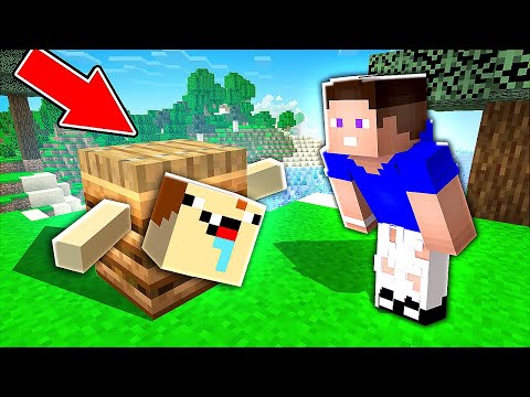 Видео: 15 СПОСОБОВ СМЕШНО ПОШУТИТЬ НАД КАРАПУЗОМ В МАЙНКРАФТ !