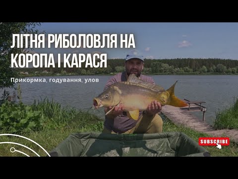 Видео: Літня риболовля на КОРОПА і КАРАСЯ. РК Солтановка