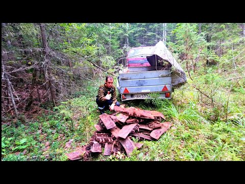 Видео: Стоянка МЕЛИОРАТОРОВ с кучей болотных траков! Аякс поймал зайца! Коп у города актуален даже в 2023г!