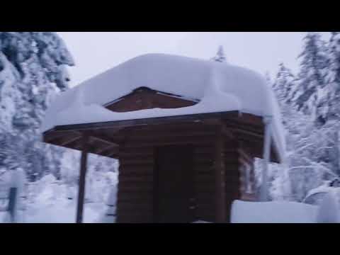 Видео: 543#Alex​​-Дальнобой США..California...A снег кружится летает летает..USA 2021