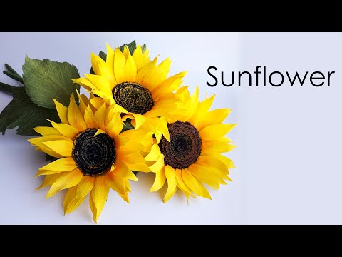 Видео: Sunflower / Подсолнух