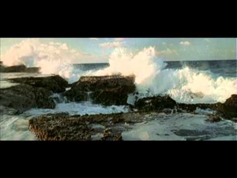 Видео: Ипостаси взаимодействия