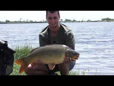 Видео: Тридневен риболов на Шаран на яз. Борец_www.digitalstudio.bg