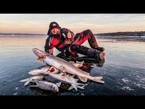 Видео: СУПЕР РЫБАЛКА НА ЖЕРЛИЦЫ  ЛОВЛЯ ЛЕЩА НА ЧЕРТА  ЗИМНЯЯ РЫБАЛКА 2020-2021.