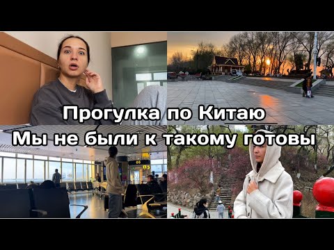 Видео: VLOG: Мини путешествие по Китаю. Испытали шок. Возвращение домой. @n1k1tagap