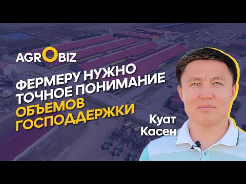 Видео: Натуральные корма, генетика﻿ и содержание голштинизированных симменталов в Казахстане