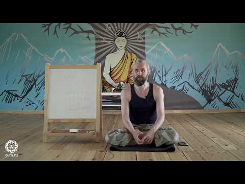 Видео: УМНЫЙ??? ТЕБЕ КОНЕЦ. Учитель йоги Александр Терентьев.