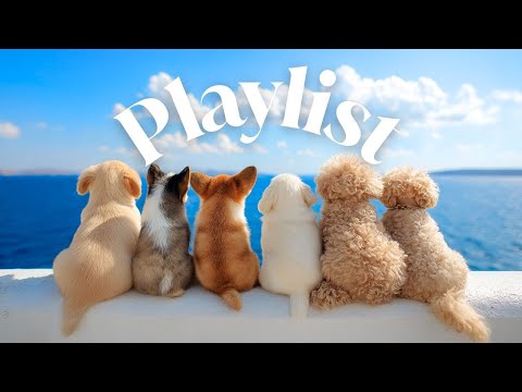 Видео: 𝗽𝗹𝗮𝘆𝗹𝗶𝘀𝘁 Идеально для этого сезона🎧Lo-fi hip hop, R&B pop✨Музыка для фокуса и отдыха🎶