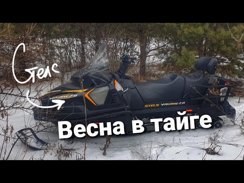 Видео: На снегоходах по тяжелому снегу. Начало Весны в тайге. Стелс Викинг 600 и BRP.