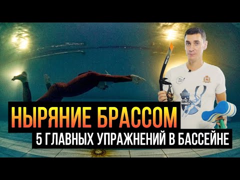 Видео: Упражнения на технику брасс для фридайверов
