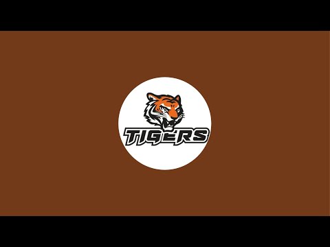 Видео: ХК TIGERS в прямом эфире!