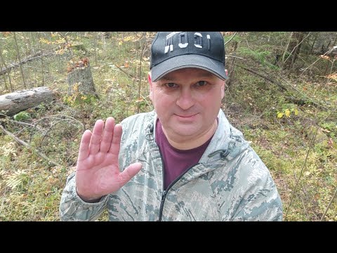 Видео: ОСЕНЬ... И вновь за грибами)